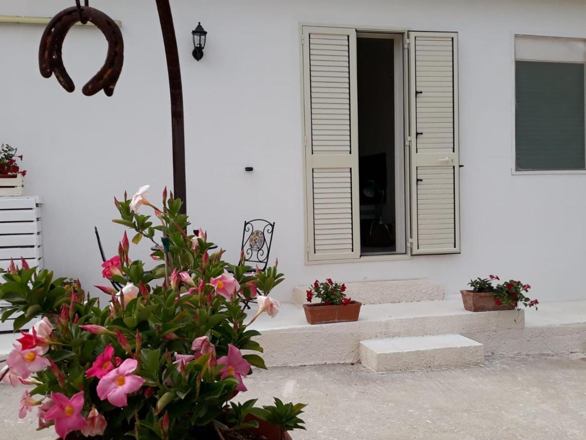 Il Lentisco Villa Noto Dış mekan fotoğraf