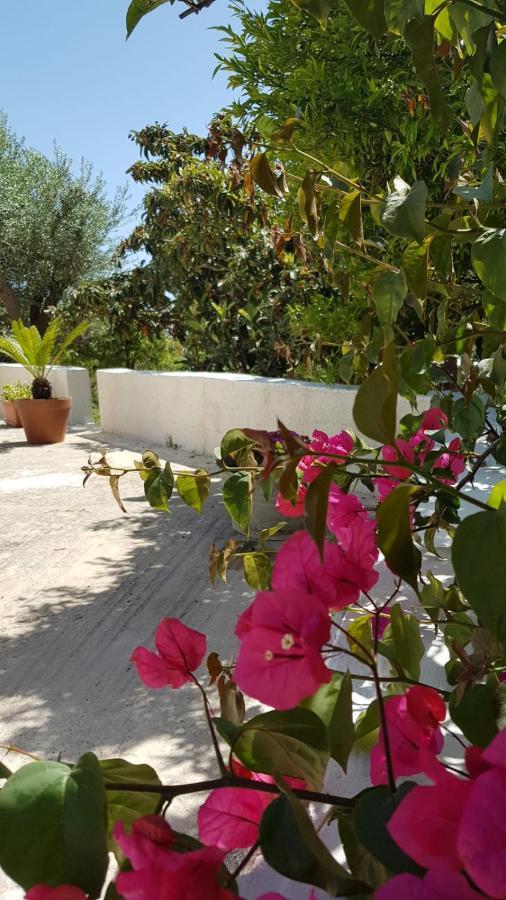 Il Lentisco Villa Noto Dış mekan fotoğraf